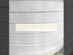 Berbagai PTFE Seal Komponen penyegelan tahan suhu fleksibel Ideal untuk sistem dan mesin hidraulik pneumatik