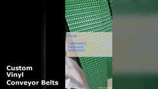 Solusi Sabuk Konveyor Vinyl Kustom